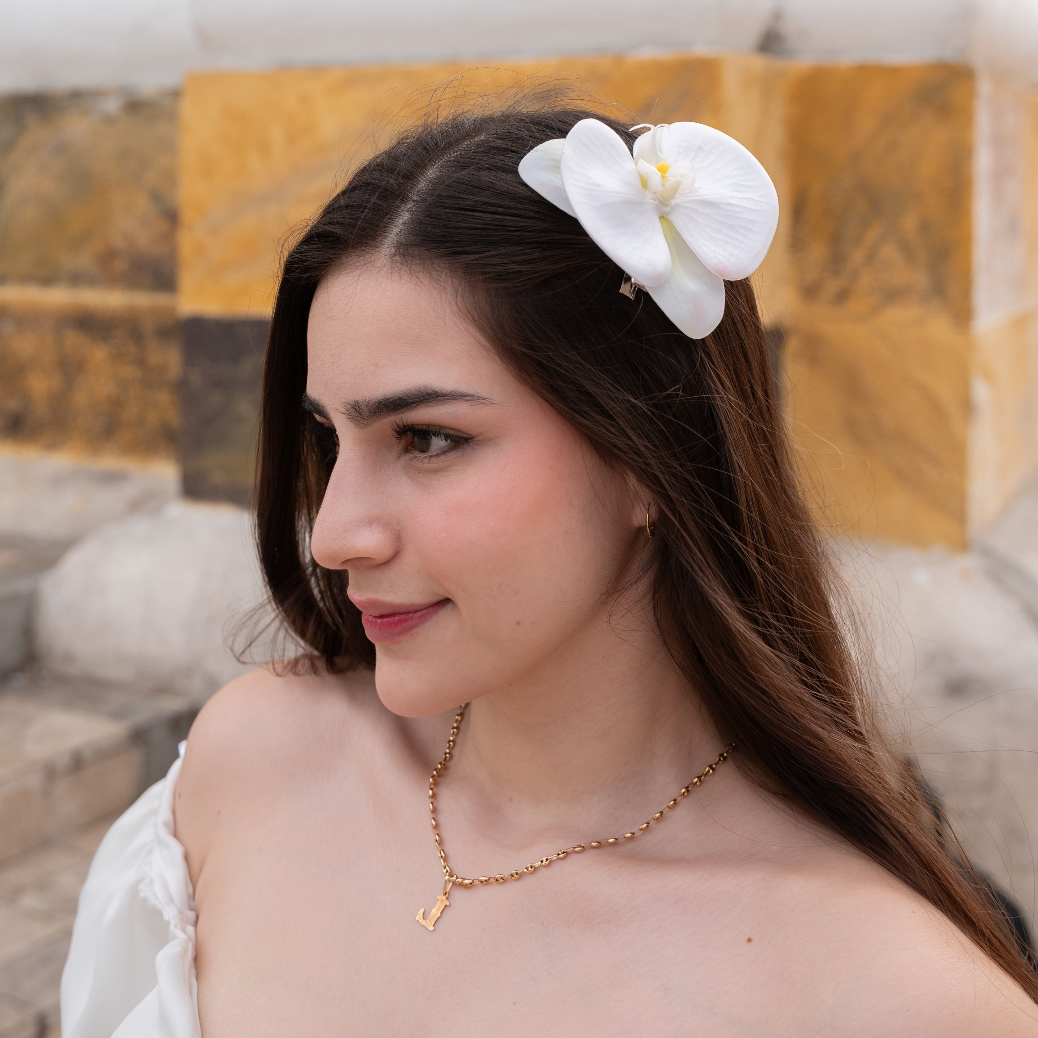 #color_Blanco